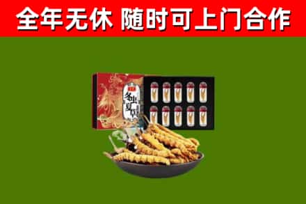 富阳烟酒回收冬虫夏草礼盒.jpg